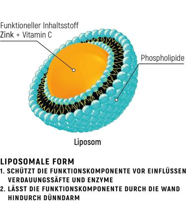  Adelle Davis Liposomal zinc 15mg with vitamin C 1000mg 200ml high-dose liquid formula with sunflower lecithin vegan non-GMO soy and gluten free - Buy Online on GoSupps.com