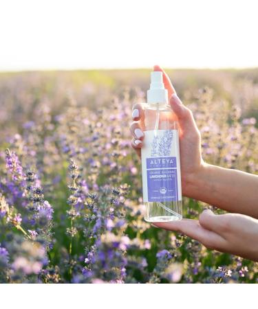 Alteya Organics Lavender Water - USDA Organic Facial Toner (8.5 Fl Oz) | Pure Bulgarian Lavender Spray Award-Winning Moisturizer BPA-Free - Buy Online on GoSupps.com
