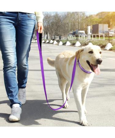 Buy Tagme Personalized Large Dog Collar - Embroidered Reflective Nylon with Pet Name & Phone Number - Purple XL - 1 Pack - Buy Online on GoSupps.com