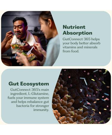 Nature M.D. GutConnect 365 Chocolate Coconut |Gut Health SuperFood Powder | Vegan Certified | Allergen Free | Non-GMO | Soy Free | Made in The USA | 30 Servings - Buy Online on GoSupps.com