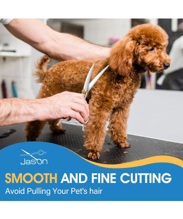 Jason Profi Dog Cup - 7 Bent Dog Cups with Ergonomic Handle & Adjustable Screw | Perfect for Dogs & Cats | Rose Gold Curved Design - Buy Online on GoSupps.com