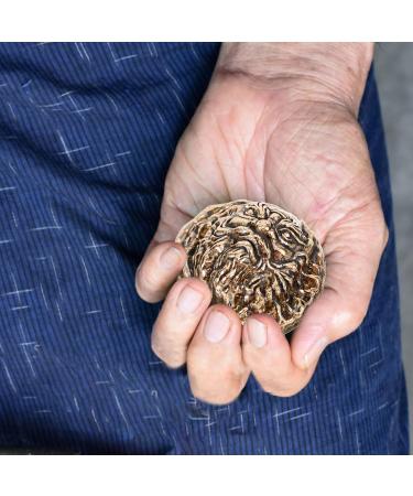 PopetPop Brass Baoding Balls - Chinese Health Exercise Stress Balls for Self-Massage & Palm Trigger Point Relief - Buy Online on GoSupps.com