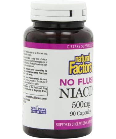 Natural Factors No Flush Niacin 500 mg - 90 Capsules for Heart Health & Cholesterol Support - Buy Online on GoSupps.com