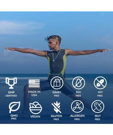 EquiLife Activated B-Complex: Mood & Energy Support Supplement | Non-GMO Vegan (60 Veggie Caps) - Buy Online on GoSupps.com