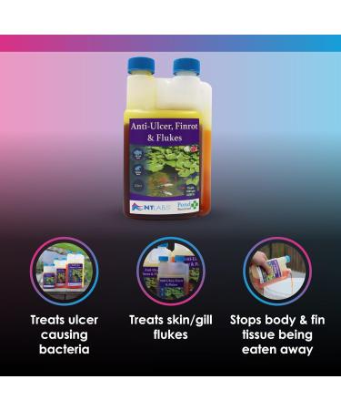 NT Labs Pond Bacterad Pond Fish Medicine Anti-Ulcer Fin-Rot & Flukes Use When Fish Show Symptoms of Fin Rot Mouth Rot Red Blotches Missing Scales or Clamped Fins 1 l (Pack of 1) - Buy Online on GoSupps.com