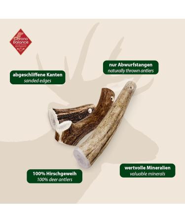 Chronobalance L Antlers for Dogs - 100% Natural Deer Antler Dog Toys & Treats Dental Care Kausnack Whole Piece - Additive-Free - Buy Online on GoSupps.com