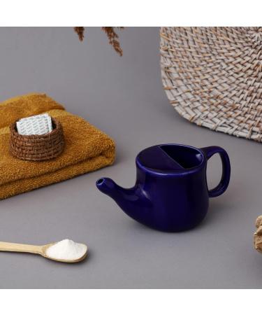HealthGoodsIn Ceramic Neti Pot Spill Proof with 5 Sachet Neti Salt Microwave Safe - Violet Color - Buy Online on GoSupps.com