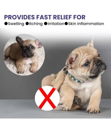 Anti-Itch Spray for Pets Spray for Dogs&Cats Pet Anti Itch Relief Spray Pet Anti-Itch Spray for Dogs for Dry Itchy Skin Allergies and Dermatitis (2PC) - Buy Online on GoSupps.com