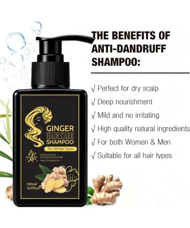 Shampooing au gingembre - Nettoyage limination des pellicules paississant nourrissant le cuir chevelu nettoyage en profondeur et contr le de l'huile aide arr ter la perte pour des cheveux - Buy Online on GoSupps.com