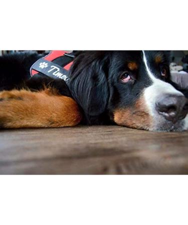 Custom Labels for Julius K9 - Pair of Interchangeable Size Patches - Black - Easy to Use with Julius K9 Harnesses - Reflective - Logo Illustration - Product Information - Powerharnesses Compatible - Buy Online on GoSupps.com