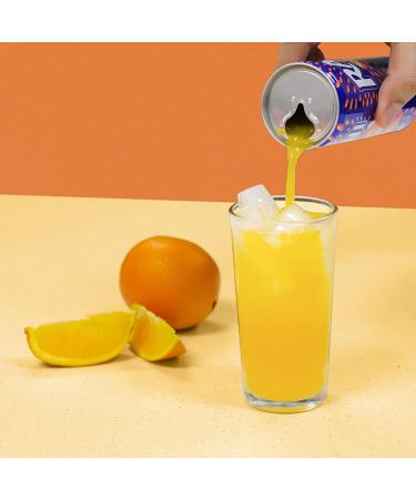 Rani Float Orange Juice 8 oz Pack of 24 - Imported from Dubai | Made with Real Fruit Pieces | Low Sugar - Buy Online on GoSupps.com