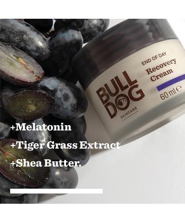 BULLDOG Soins de la peau - Cr me de r cup ration de fin de journ e pour homme | R hydrate et apaise 60 ml x 3 paquets - Buy Online on GoSupps.com