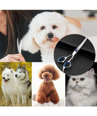 Premium Dog Scissors | Stainless Steel Grooming Scissors for Dogs & Cats | Safety Round Tip Dog Hair Scissors - Buy Online on GoSupps.com