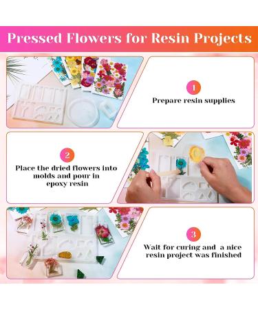 Real Dried Pressed Flowers for Resin - 150 Pcs Natural Dry Flowers & Leaves Kit for DIY Crafts - Scrapbooking, Jewelry Making, Candle & Soap Making Supplies - Buy Online on GoSupps.com