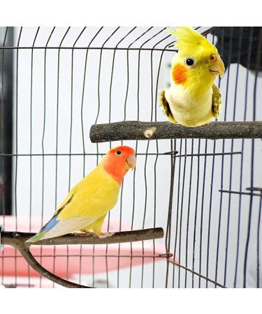 10-Piece Natural Bird Accessories for Budgies Canaries & Lovebirds - Gionar Climbing Grinding & Standing Cage Toys - Buy Online on GoSupps.com