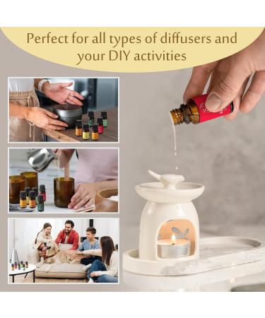 Scent Aura IV Fragrance Oils - 5 Hotel Secret Scents in One Collection Inspired by Marriott Ritz Carlton Park Hyatt Westin & Galaxy Macau for Diffusers - Buy Online on GoSupps.com