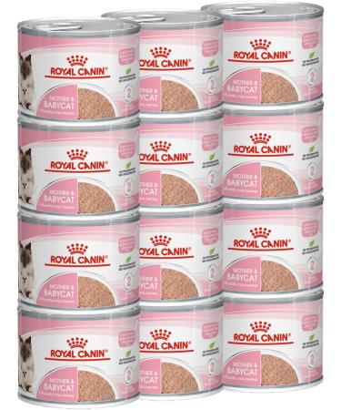 Royal Canin Mother & Babycat Mousse | 12 x 195 g | Complete Food for Cats | Especially for the Mother Cat and Her Puppies | To Support the Body's Defense - Buy Online on GoSupps.com