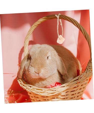 Levemolo 5pcs Animals Salt Cattle Salt Lick Salt for Animals Licking Salt Brick Pet Rope - Buy Online on GoSupps.com