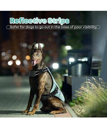 Cooling Vest for Dogs - Breathable Reflective Summer Jacket for Small Medium & Large Dogs - Perfect for Outdoor Activities & Training - Buy Online on GoSupps.com