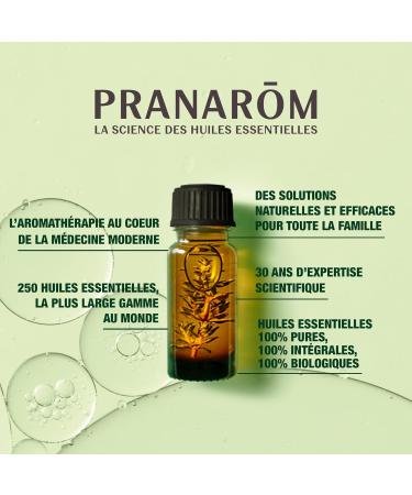 PRANAROM therisches l Lavande vraie 10 ml Hochwertiges Lavendel l f r Entspannung & Aromatherapie | Internationaler Versand - Buy Online on GoSupps.com