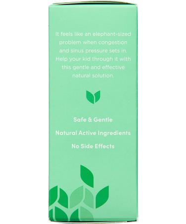 Hyland's 4 Kids Stuffy Nose & Sinus Relief - Quick-Dissolving Tablets for Ages 2-12 - Buy Online on GoSupps.com