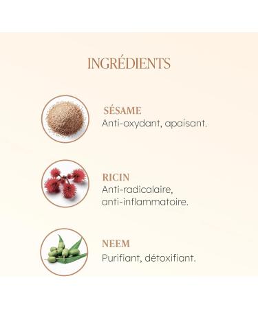  TAAJ TAAJ | Delicious Shower Gel - ABHYANGA | Body | Gently cleanses the skin | Soft supple and comfortable skin | All skin types | Vegan and essential oils free | Pack of 3 x 200 ml - Buy Online on GoSupps.com