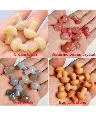 MEISO Healing Crystals 12 Pcs Agate Quartz Crystal Mushroom Shape Decor Cute Natural Healing Mushroom Decor for Meditation Chakra Balancing Reiki Yoga Garden Yard Decoration Fish Tanks Home Decor 12 Pcs (Crystal) - Buy Online on GoSupps.com