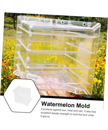 Uonlytech Watermelon Shaping Fruit Tools Pumpkin Growing Molds for Garden Vegetable Shaping Tool Watermelon Modeling Big Rod 15x15cm Transparent - Buy Online on GoSupps.com