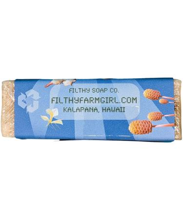 Galactic Ginger Soap - Nourishing & Exotic 1 Each | Buy Internationally - Buy Online on GoSupps.com