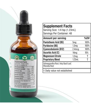 Rejuvica Health Active Adrenal - Advanced Adrenal Support Tincture - Liquid Delivery for Better Absorption - Ashwagandha B-Vitamins Magnesium and More 2 Fl Oz (Pack of 2) - Buy Online on GoSupps.com