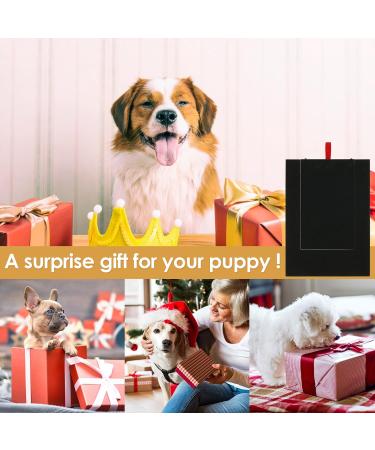 Wooden Dog Nail File Board with Snack Box - Puppy Nail Grinding Pad Alternative to Clippers & Grinders - Buy Online on GoSupps.com