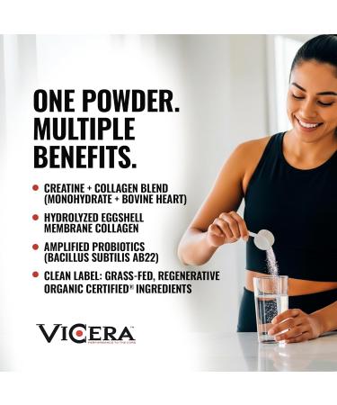 Chocolate Protein + Berry Flavor Creatine Collagen Powder A2/A2 Whey Casein Protein with Probiotics and Celtic Sea Salt (20 Servings) Creatine and Collagen Supplement Gluten Free (30 Servings) - Buy Online on GoSupps.com