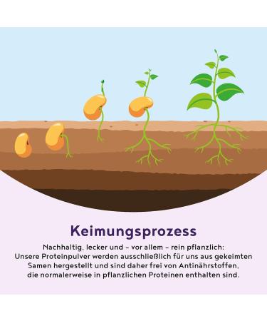 Vegan Protein Powder - Blueberry Blend | 600g Plant-Based Rice Peas & Seeds - Buy Online on GoSupps.com