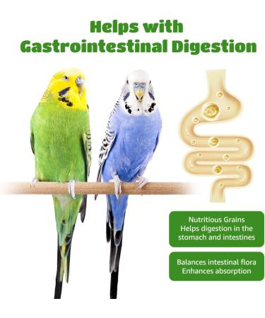 Nobleza - (500g) Parakeet Food Premium Bird Seeds Tasty Bird Food - Buy Online on GoSupps.com