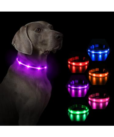 Masbrill light neck dog Dogs Charging LED dog collar luminous 3 flashing lights waterproof Illuminated safety collar for small medium large dogs purple l l (48-60cm/19-23.6inch) Lila (TC6100)