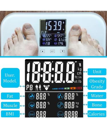 Rykyart Touch Screen Body Fat Scale | Bluetooth BMI Weight Scales with 18 Body Data | Digital Bathroom Scale Sync with Fitness App - Buy Online on GoSupps.com