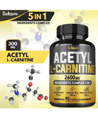 Acetyl L-Carnitine Complex Capsules 2600mg - Body, Brain & Immune Support - 90 Count - Buy Online on GoSupps.com