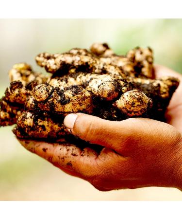 Organic Candied Ginger 940g | Bio-Certified Fair Trade | 100% Natural High-Quality Treat | Les Papoteuses - Buy Online on GoSupps.com