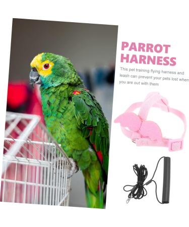 Beavorty 3 Sets Bird Leash Suspend Bird Harness Leashes -bite Training Bird Training Supplies Strap Outdoor 12X6X1.3CMx3pcs Pinkx3pcs - Buy Online on GoSupps.com