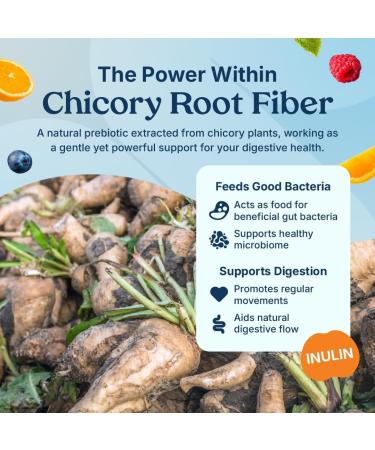 Poop Like a Champion Fiber Gummies 5g Fiber per Serving Non-GMO Vegan Digestive Support 60 Pieces per Bottle Prebiotic Fiber - Buy Online on GoSupps.com