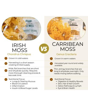 Irish Sea Moss from Ireland | Wildcrafted Chondrus Crispus | Raw Golden Irish Moss - Buy Online on GoSupps.com