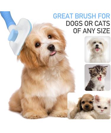 TIMINGILA Self Cleaning Slicker Brush for Dogs and Cats - Pet Grooming Tool for Undercoat, Shedding, Mats, Tangled Hair, Dander - Massages, Improves Circulation - Blue - Buy Online on GoSupps.com