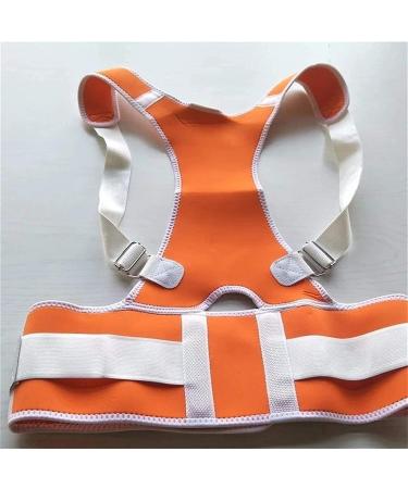 Back Braces for Posture Correction Lower Back Pain Back Support Belts Corset Posture Corrector Brace Improves Posture - Buy Online on GoSupps.com