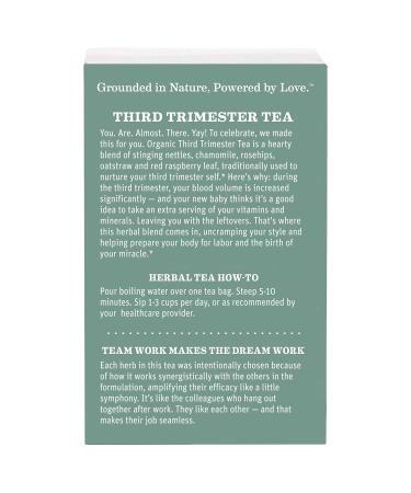 Earth Mama Organic Third Trimester Tea Bags - Mint, 16-Count (3-Pack) | Pregnancy Comfort & Childbirth Prep - Buy Online on GoSupps.com
