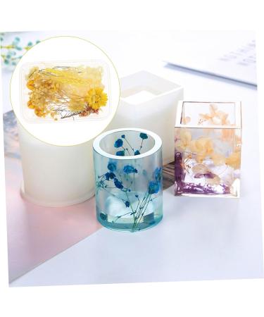 Zerodeko 1 Box Dried Flowers Dry Flowers for Resin Dried Hydrangea Flowers Scrapbooking Art Floral Picture Frame Flower Diy Floral Material Package Pressed Flowers Natural Fine Decorate Yellow 11X1CM - Buy Online on GoSupps.com