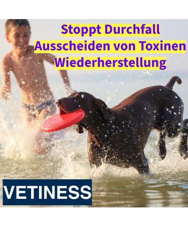 Vetiness Diarrhea Paste 60 ml for Dogs & Cats | Acute Diarrhea Relief for Dogs Over 30 kg | Supports Diarrhea & Vomiting | Special Package for All Sizes - Buy Online on GoSupps.com