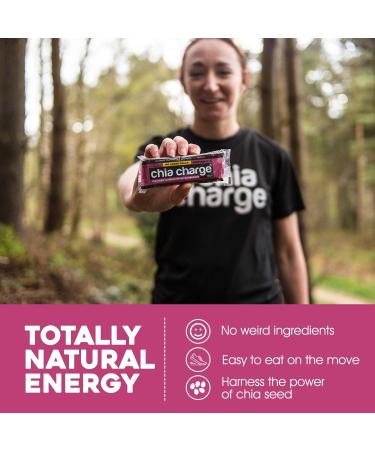 Chia Seed Mini & Big Flapjacks Pack - Berry Energy Bars - Nut Free & Sugar-Free - 20 Count - Ideal for Running, Gym, Cycling - Healthy Snack - Buy Online on GoSupps.com