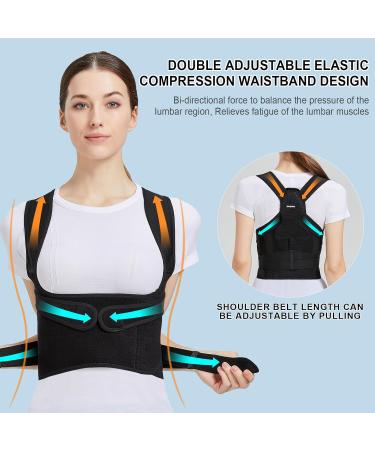 Back Brace Posture Corrector for Men & Women - Adjustable Scoliosis Support Hunchback Straightener Upper & Lower Back Trainer (Large Waist 35-39 inch - Buy Online on GoSupps.com