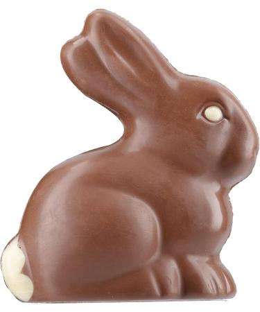 CHEVALIERS D'ARGOUGES French Master Chocolatiers - Milk chocolate rabbit bag 37% organic/fair trade cocoa - Easter mold - 70g - Buy Online on GoSupps.com