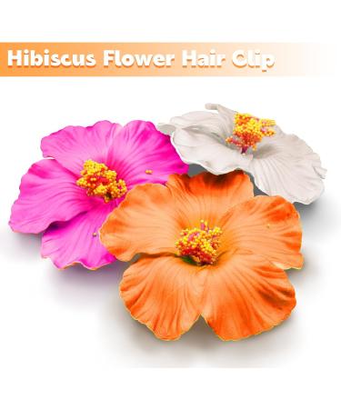 3 Pieces Hawaiian Plumeria Flower Hair Clips Frangipani Artificial Clips Foam Flower Clips for Women Bridal Wedding Luau Beach Tropical Party Decoration 3.15-3.54 Inch (Multi-color) - Buy Online on GoSupps.com